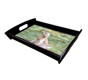 Bricka svart 32x20cm